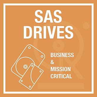 SAS Interface Drives