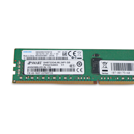 Close-up of Samsung NetApp server RAM module labels.