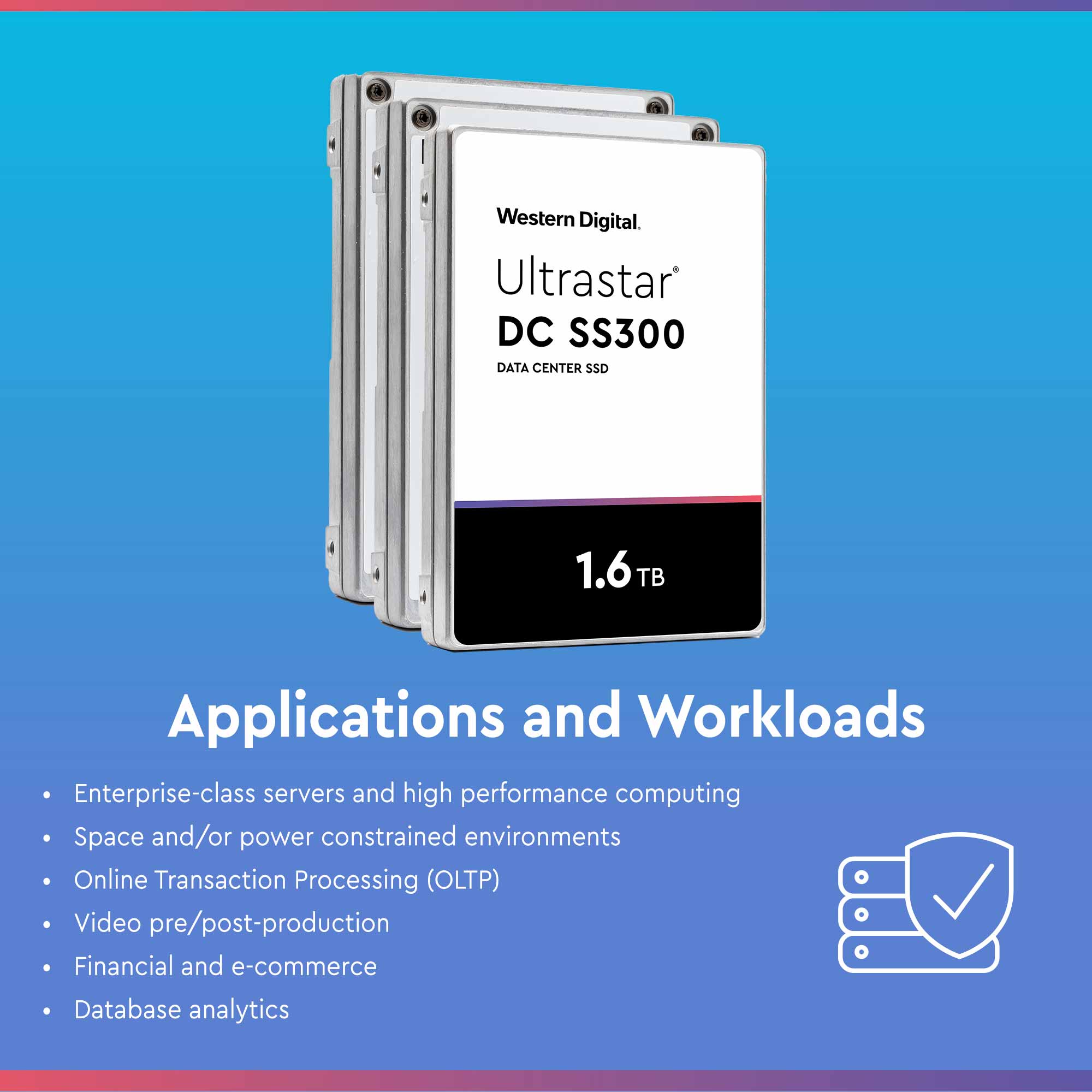 Western Digital DC SS300 HUSMM3216ASS204 1.6TB SAS 12Gb/s 512e 2.5in Recertified Solid State Drive - Applications and Workloads